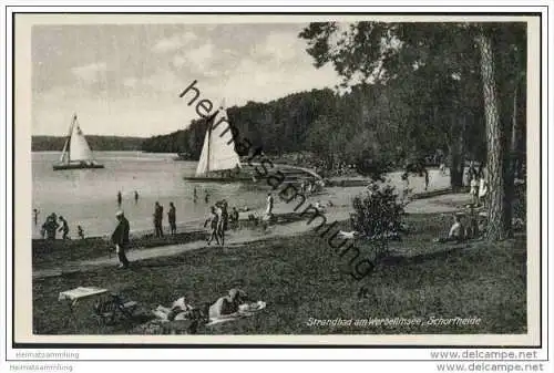 Strandbad am Werbellinsee - Schorfheide