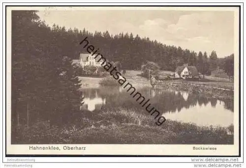 Hahnenklee Oberharz - Bockswiese