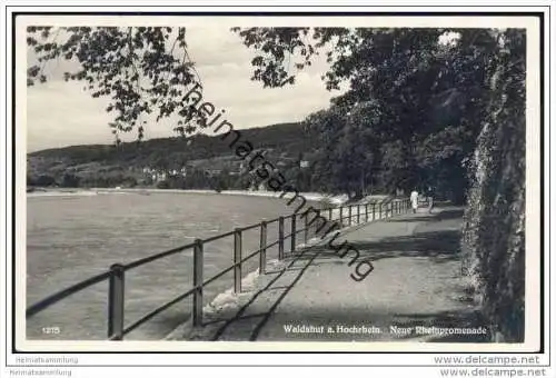 Waldshut - Neue Rheinpromenade - Foto-AK