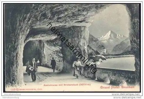 Axenstrasse mit Bristenstock