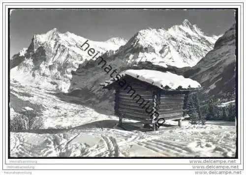 Grindelwald - Männlichen Abfahrt - Foto-AK