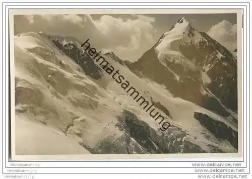 Gruppo del Ortler - Il gran Zebru visto dal passo Lago Gelato - Foto-AK 1924