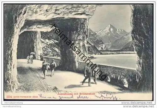 Axenstrasse mit Bristenstock