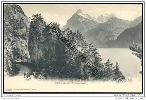 Partie an der Axenstrasse ca. 1910