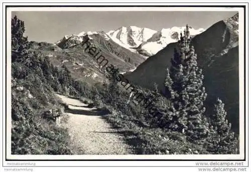 Am Höhenweg mit Piz Palü - Foto-AK