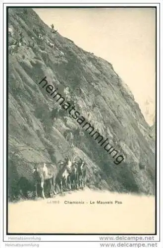 Chamonix - Le Mauvais Pas - Ziegen ca. 1900