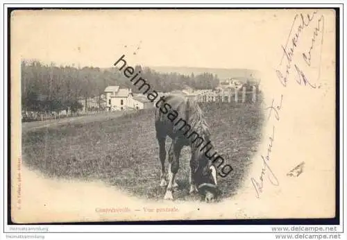 Contrexeville - Vue generale