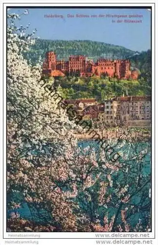 Heidelberg - Schloss von der Hirschgasse aus