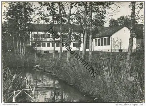 Sempach - Vogelwarte - Foto-AK Grossformat