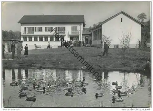 Sempach - Vogelwarte - Foto-AK Grossformat - Verlag Photopress Zürich