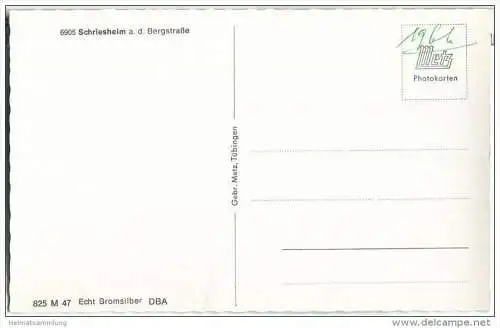 Schriesheim - Strahlenburg - Schwimmbad - Foto-AK