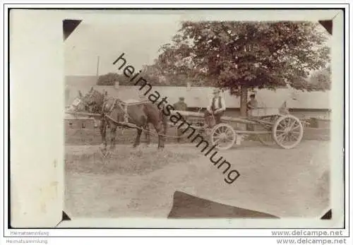 Pferdegespann - Foto-AK 20er Jahre