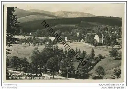 Jagniatkow - Agnetendorf - Schneegruben - Foto-AK