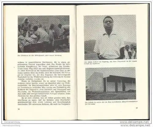 Südwestafrika 1963 - Mata mata mata! tötet, tötet, tötet! Angola seit dem 15. März 1961 - Aufstand in Nordangola