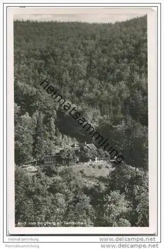 Bad Harzburg - Waldgasthaus Sennhütte - Foto-AK