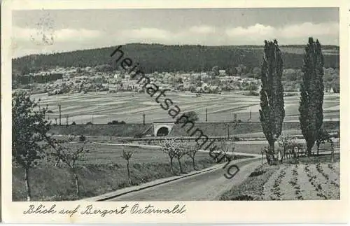 Salzhemmendorf - Blick auf Bergort Osterwald - Verlag Papier und Schreibwaren Fr. Uthe Bergort Osterwald