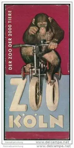 Köln 1954 - Zoo - Faltblatt mit 4 Abbildungen