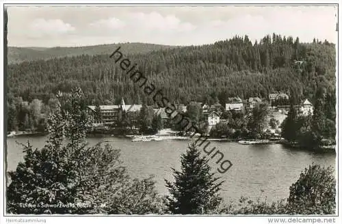 Titisee - Foto-AK