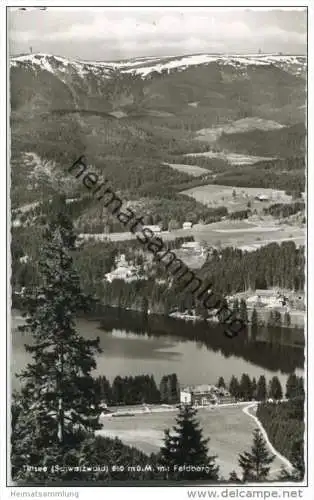 Titisee - Feldberg - Foto-AK