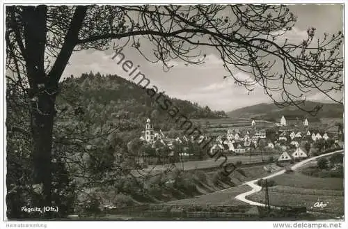 Pegnitz - Foto-AK - Verlag Hans Mehliß Pegnitz gel. 1956