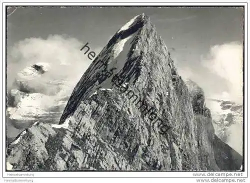 Spitzmann in der Rigidalkette - Foto-AK