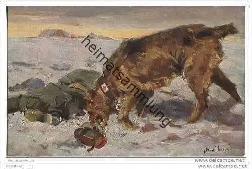 Wohlfahrts-Postkarte - Nr. 10 Verwundeter - Der Sanitätshund im Felde