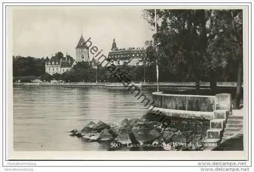 Lausanne-Ouchy Hotel du Chateau - Foto-AK