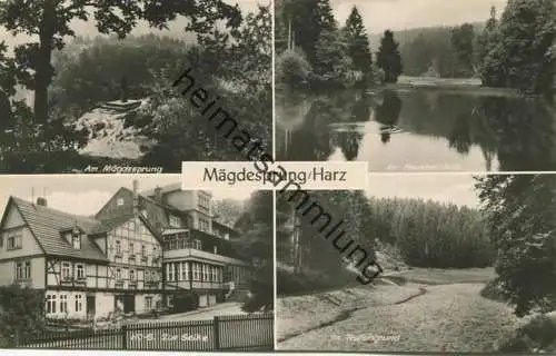 Mägdesprung - Foto-AK - Verlag VEB Bild und Heimat Reichenbach
