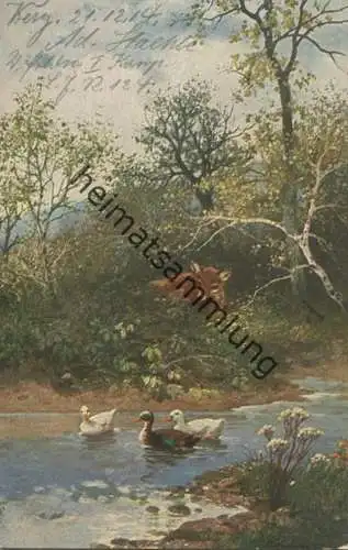 Jagd - Fuchs - Enten - Feldpost gel.