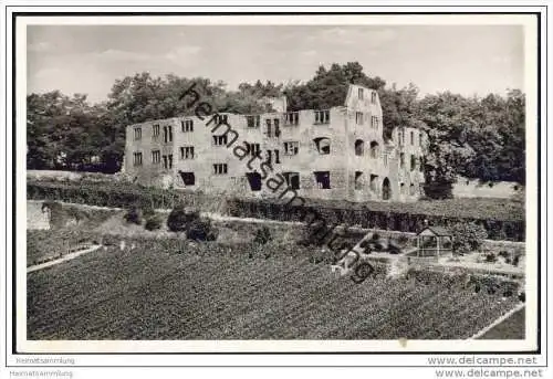Oppenheim - Ruine Landskrone - Foto-AK