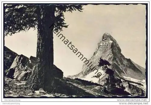 Riffelalp und Matterhorn - Foto-AK 40er Jahre