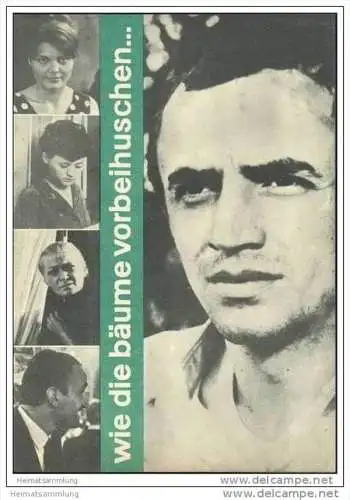 Film für Sie Progress-Filmprogramm 95/67 - wie die Bäume vorbeihuschen...