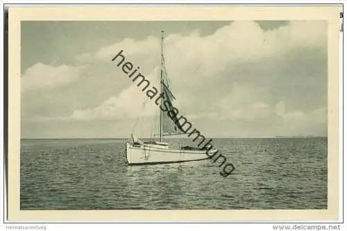 Insel Amrum - Motorsegler Möwe