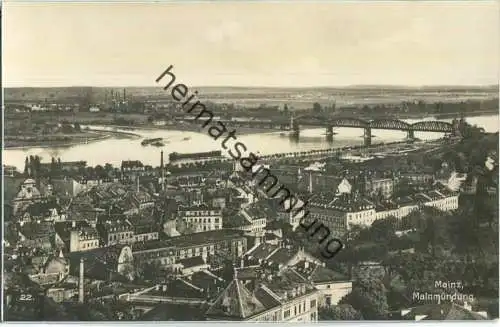 Mainz - Mainmündung - Foto-Ansichtskarte - Verlag Trinks & Co Leipzig