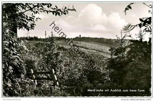 Merck'ruhe - Irene-Turm - Auf der Tromm im Odenwald - Foto-AK