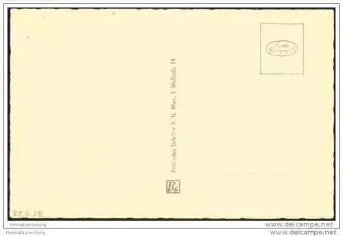 Wien - Oper - Foto-AK - Strassenbahn