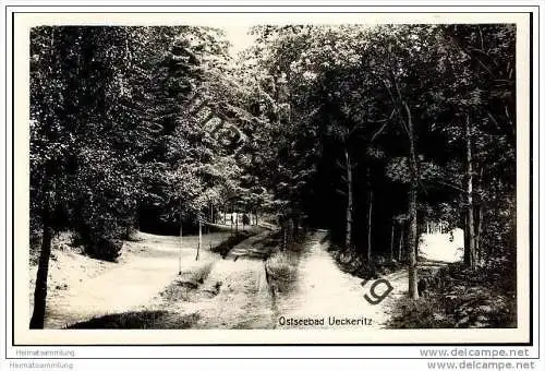 Ostseebad Ueckeritz - Waldweg - Foto-AK