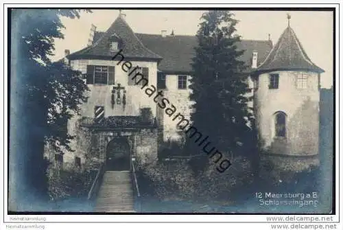 Meersburg am Bodensee - Schlosseingang - Foto-AK