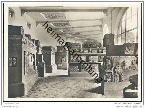 Trier - Provinzial-Museum - Neumagen-Saal - Foto-AK Grossformat