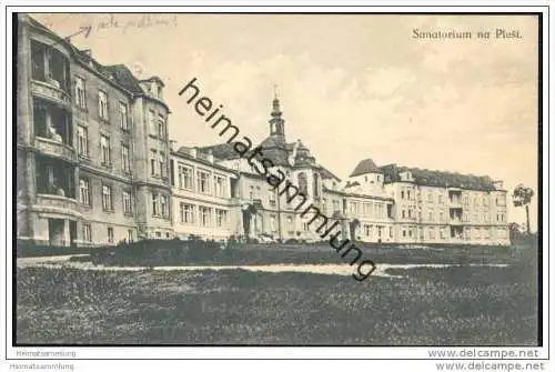 Sanatorium na Plesi