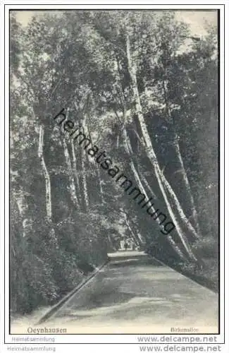 Oeynhausen - Birkenallee
