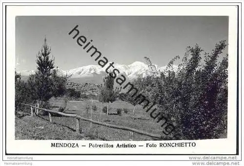 Mendoza - Potrerillos Artistico - Foto-AK ohne rückseitige Einteilung