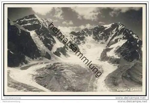 Otler e Zebru  - Foto-AK 20er Jahre