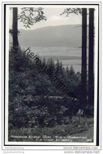 Mittelwalde - Blick vom Hirschenhaus nach dem Glatzer Schneeberg - Foto-AK
