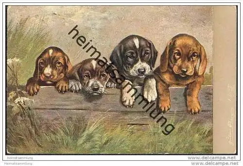 Hunde - 4 süsse Welpen - Künstlerkarte