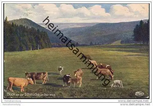 Blick von der Schmücke - Kühe - Künstlerkarte 'WIRO' Nr. 3095