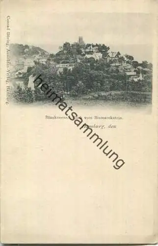 Hamburg Blankenese - Bilck vom Bismarckstein - Verlag Conrad Döring Hamburg ca. 1900