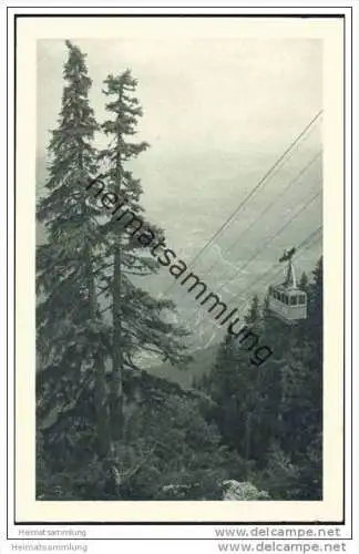 Raxbahn - Seilbahn an der Grenze des Bergwaldes