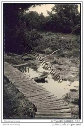 Georgenfelder Hochmoor - Foto-AK