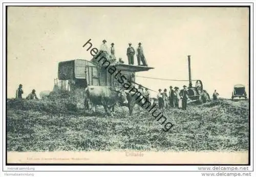 Trillando - Dreschmaschine - Threshing Machine ca. 1900